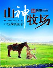 ɽ������