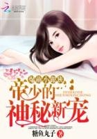 ����С���ࣺ���ٵ������³�