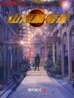 ɽ��������