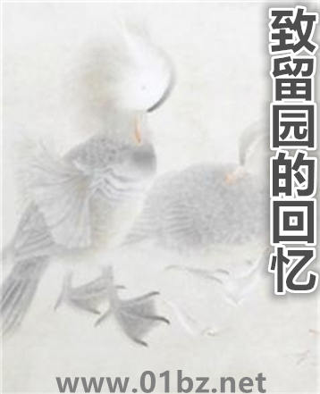 ����԰�Ļ���