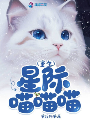 �����Ǽ�������