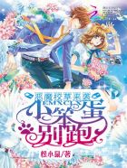 ������ӡ