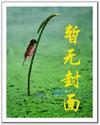 鷨ʦݺᶼ